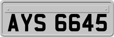 AYS6645