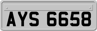 AYS6658