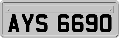 AYS6690