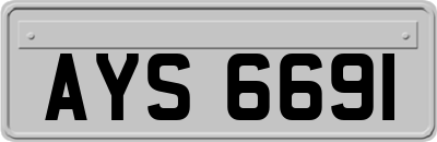 AYS6691