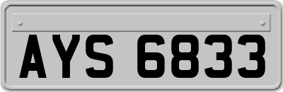 AYS6833