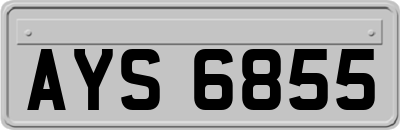 AYS6855