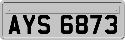 AYS6873
