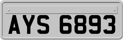 AYS6893