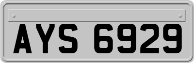 AYS6929