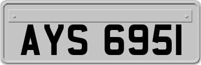 AYS6951