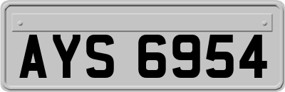 AYS6954