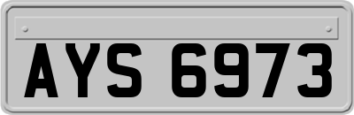 AYS6973
