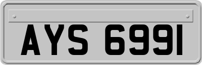AYS6991