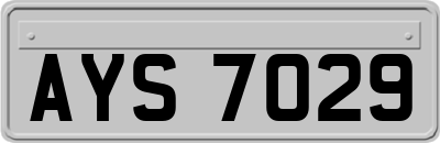 AYS7029