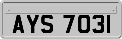AYS7031