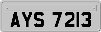 AYS7213