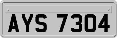 AYS7304