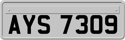 AYS7309