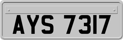 AYS7317