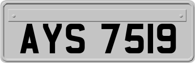 AYS7519