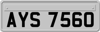 AYS7560