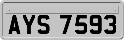 AYS7593