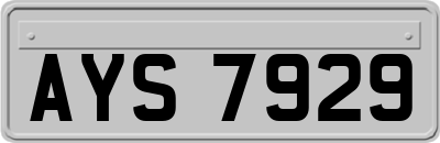 AYS7929