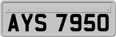 AYS7950