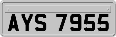 AYS7955