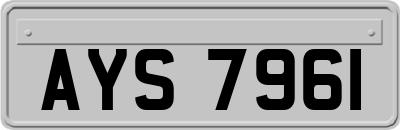 AYS7961
