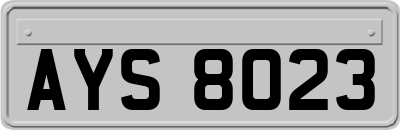 AYS8023