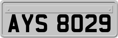 AYS8029