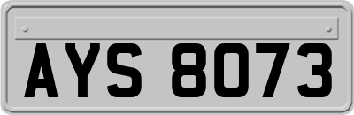 AYS8073