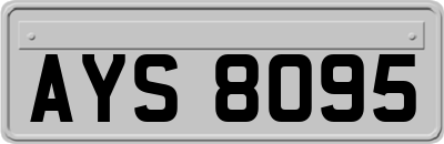 AYS8095