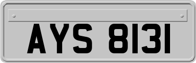 AYS8131