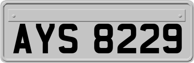 AYS8229