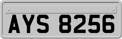 AYS8256