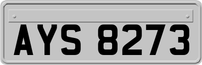 AYS8273