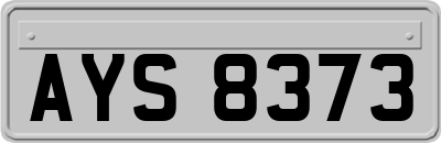 AYS8373