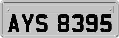 AYS8395