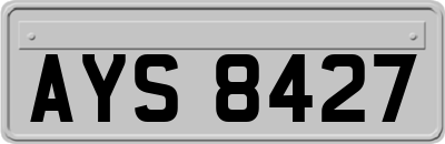 AYS8427