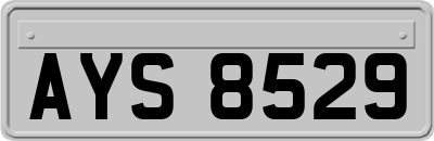 AYS8529