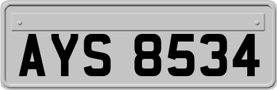 AYS8534