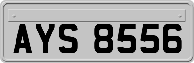 AYS8556
