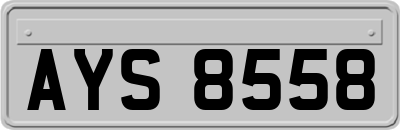 AYS8558