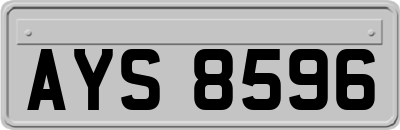 AYS8596