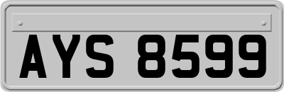 AYS8599