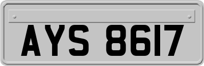 AYS8617