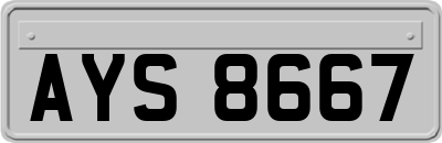AYS8667