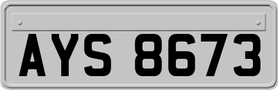 AYS8673