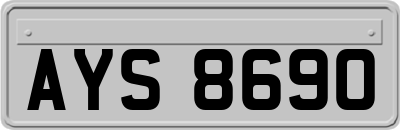 AYS8690