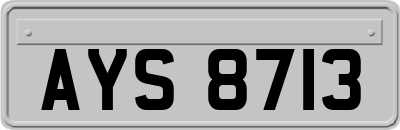 AYS8713