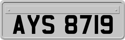 AYS8719