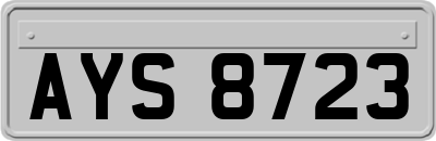 AYS8723
